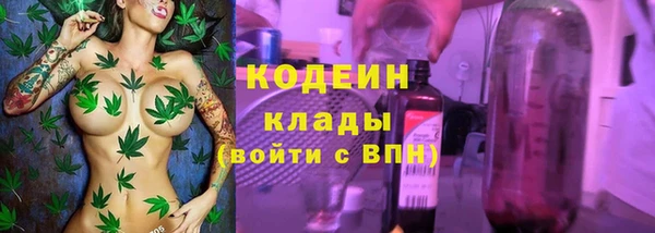 амф Бородино