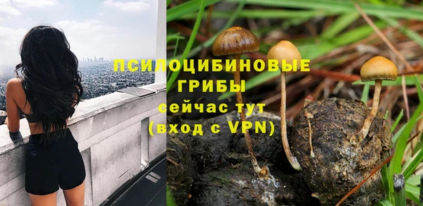 прущая мука Верея