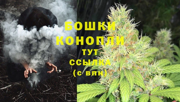 амф Бородино