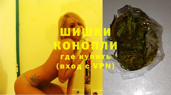 МДПВ Бронницы