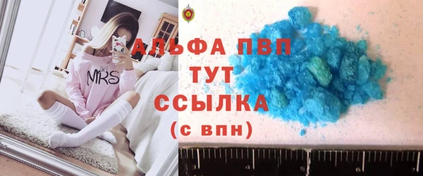 амф Бородино