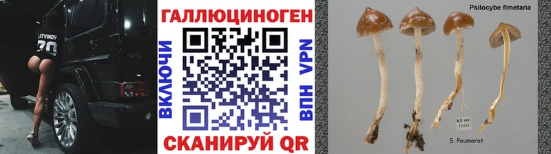 Галлюциногенные грибы прущие грибы  Нерюнгри 